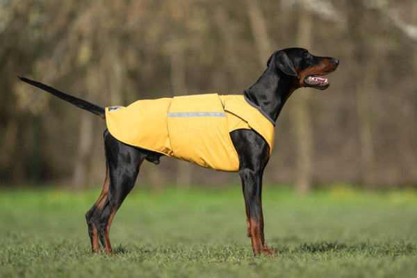 DOBERMAN WINTER COAT - READY-MADE