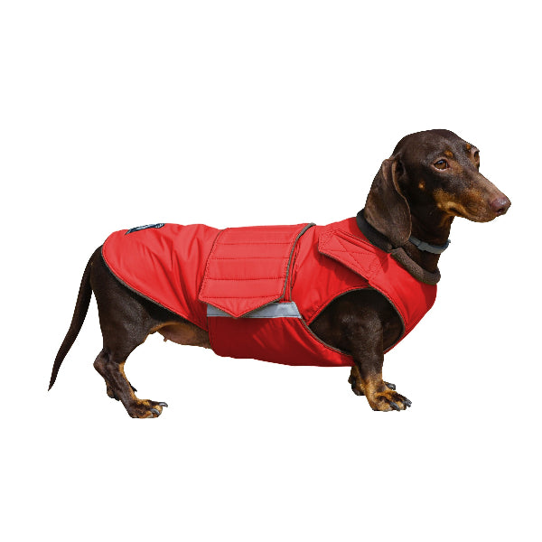 DACHSHUND WINTER COAT - READY-MADE