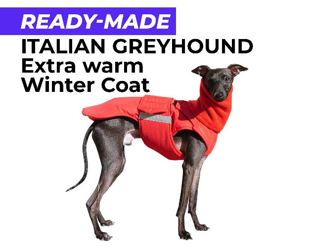 ITALIAN GREYHOUND EXTRA WARM WINTER COAT NECK WARMER READY