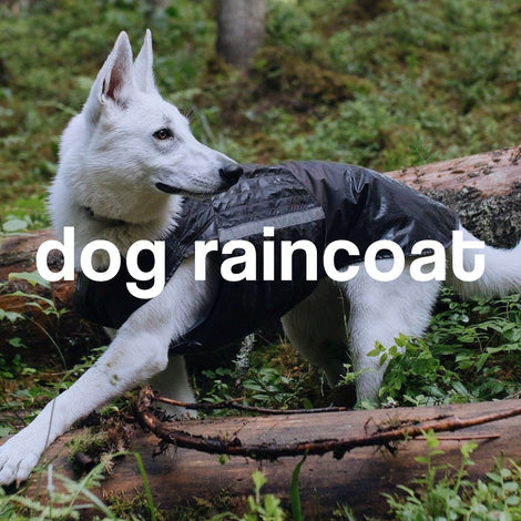 DOG RAINCOATS