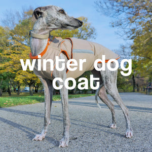 WINTER DOG COAT