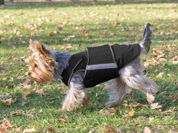 YORKSHIRE TERRIER RAINCOAT - READY-MADE