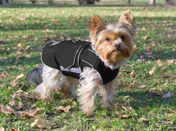 YORKSHIRE TERRIER RAINCOAT - READY-MADE