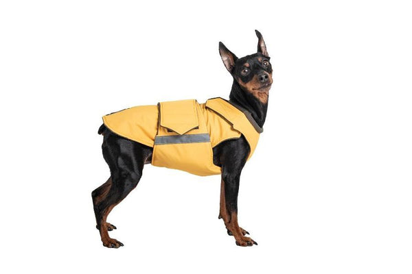 MINIATURE PINSCHER RAINCOAT / MADE TO ORDER
