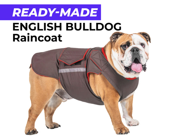 ENGLISH BULLDOG RAINCOAT - READY-MADE