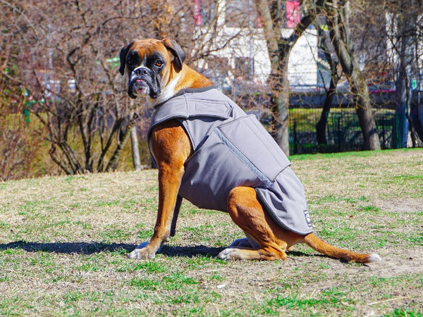 BOXER RAINCOAT - READY-MADE