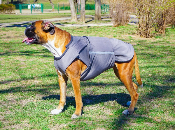 BOXER RAINCOAT - READY-MADE