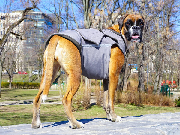 BOXER RAINCOAT - READY-MADE