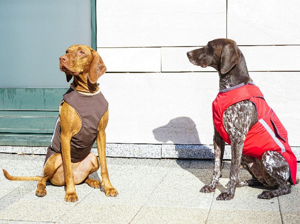 VIZSLA EXTRA WARM WINTER COAT - READY-MADE