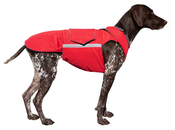 POINTER SOFTSHELL DOG COAT / MADE TO ORDER