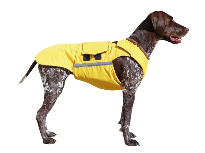 POINTER DOG RAINCOAT / MADE TO ORDER