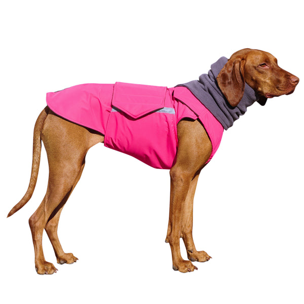 VIZSLA WINTER DOG COAT + NECK WARMER/ MADE TO ORDER