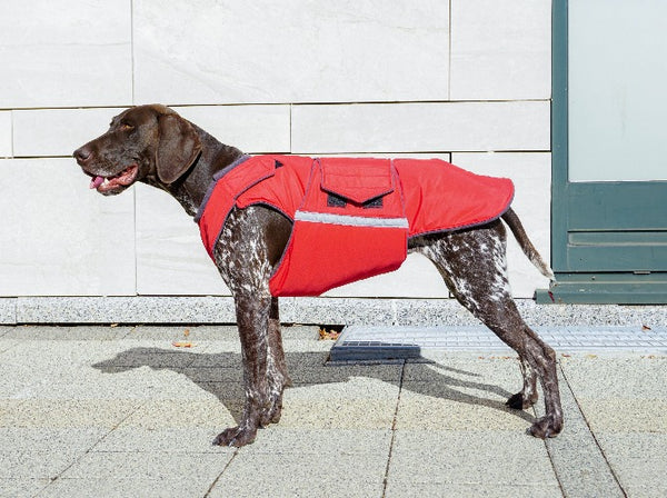 POINTER WINTER COAT - READY-MADE