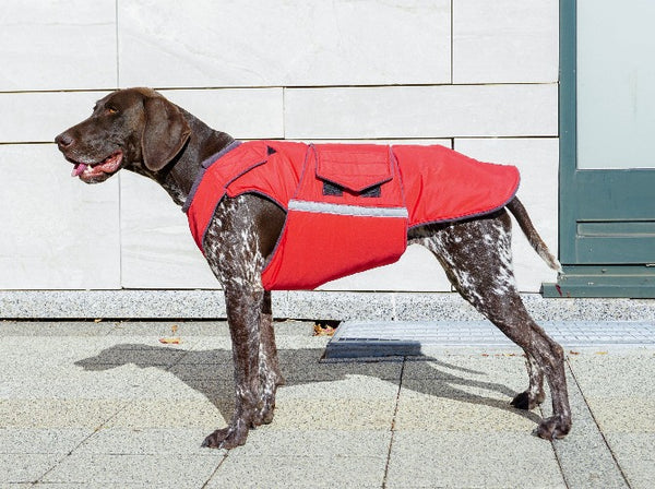 POINTER EXTRA WARM WINTER COAT - READY-MADE