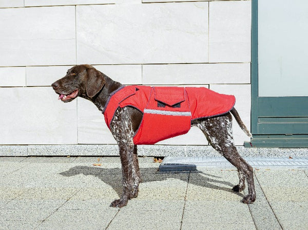 POINTER EXTRA WARM WINTER DOG COAT / MADE TO ORDER