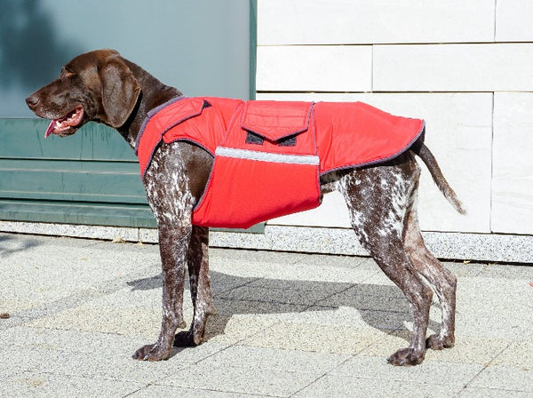 POINTER WINTER COAT - READY-MADE