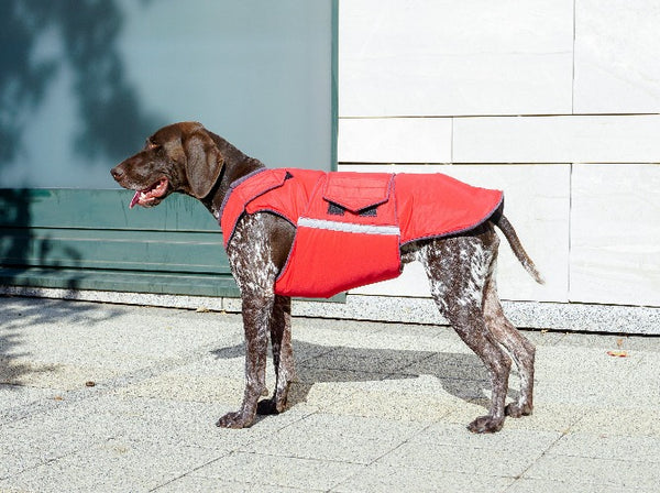 POINTER EXTRA WARM WINTER DOG COAT / MADE TO ORDER