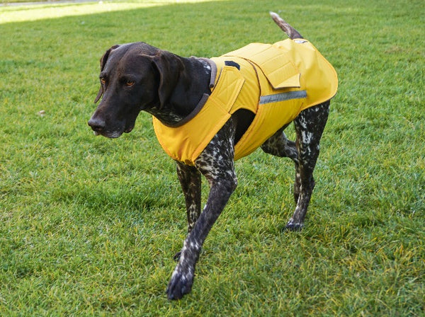 POINTER DOG RAINCOAT / MADE TO ORDER