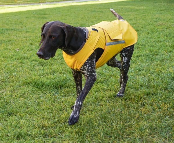 POINTER WINTER DOG COAT / MADE TO ORDER