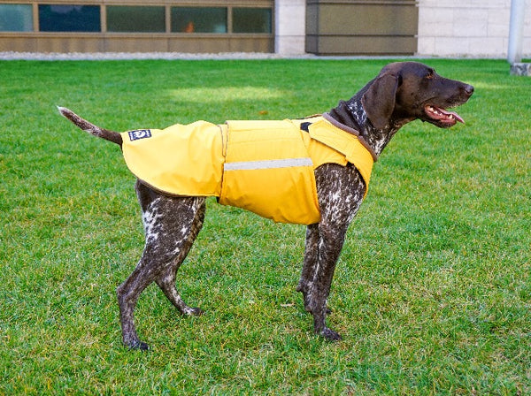 POINTER DOG RAINCOAT / MADE TO ORDER