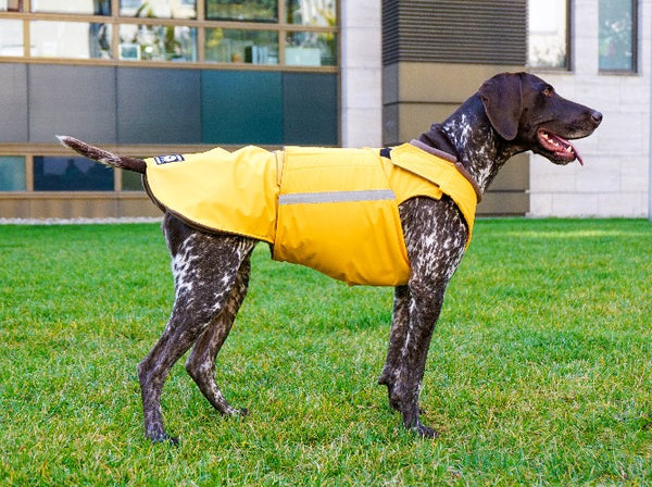 POINTER DOG RAINCOAT / MADE TO ORDER