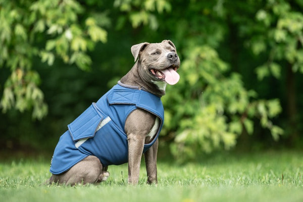 STAFFORDSHIRE SOFTSHELL DOG COAT / MADE TO ORDER