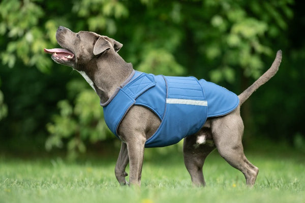 STAFFORDSHIRE SOFTSHELL DOG COAT / MADE TO ORDER
