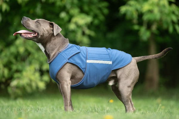 STAFFORDSHIRE TERRIER DOG COAT / MADE TO ORDER