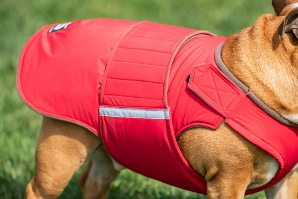 BULLDOG EXTRA WARM WINTER DOG COAT / MADE TO ORDER