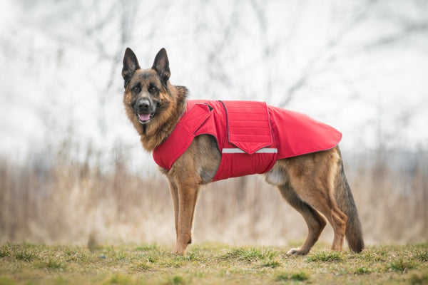 GERMAN SHEPHERD WINTER DOG COAT / MADE TO ORDER