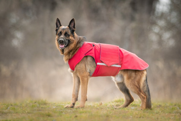 GERMAN SHEPHERD WINTER DOG COAT / MADE TO ORDER