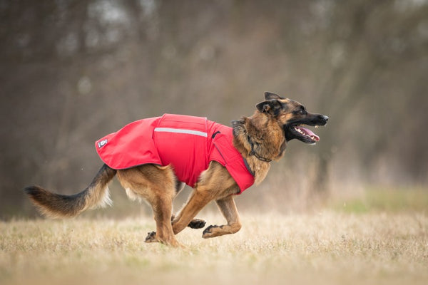 GERMAN SHEPHERD WINTER DOG COAT / MADE TO ORDER