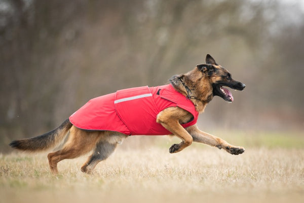 GERMAN SHEPHERD WINTER DOG COAT / MADE TO ORDER