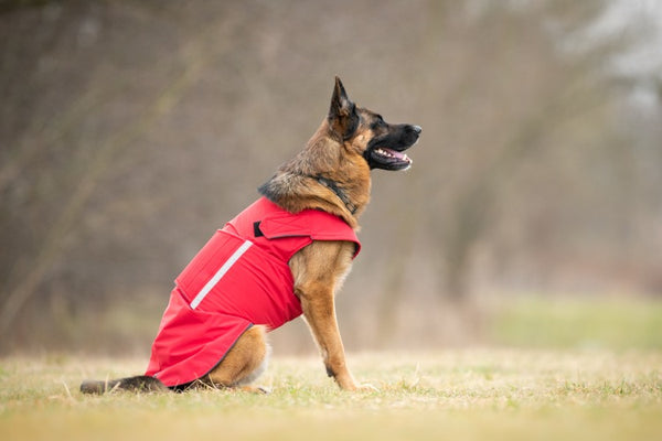 GERMAN SHEPHERD DOG RAINCOAT / MADE TO ORDER