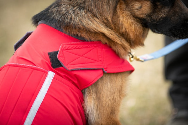 GERMAN SHEPHERD DOG RAINCOAT / MADE TO ORDER