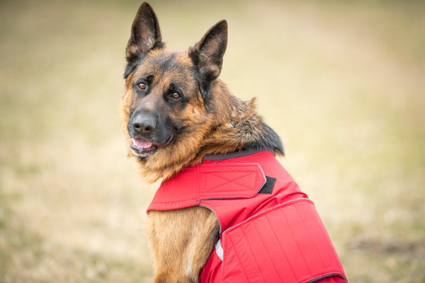 GERMAN SHEPHERD WINTER DOG COAT / MADE TO ORDER