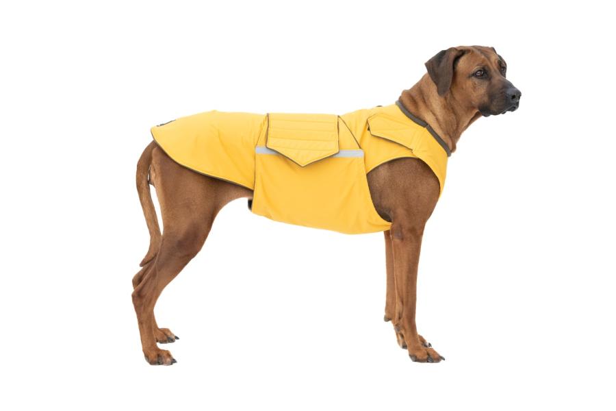 RHODESIAN RIDGEBACK WINTER DOG COAT / MADE TO ORDER