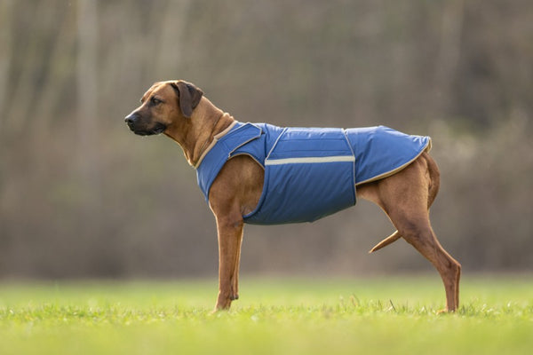 RHODESIAN RIDGEBACK EXTRA WARM WINTER COAT - READY-MADE