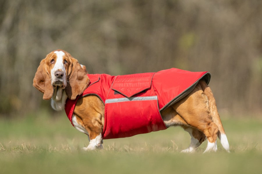BASSET HOUND EXTRA WARM WINTER COAT