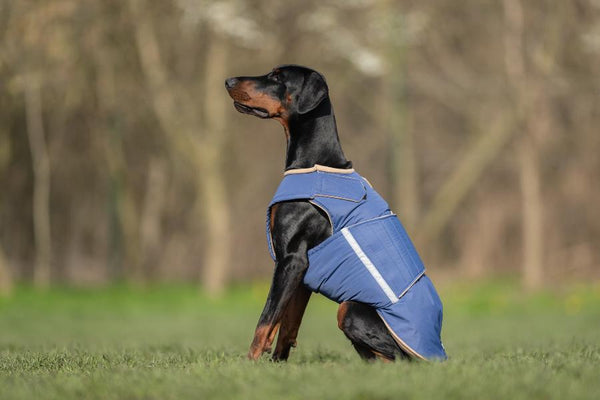DOBERMAN EXTRA WARM WINTER COAT - READY-MADE