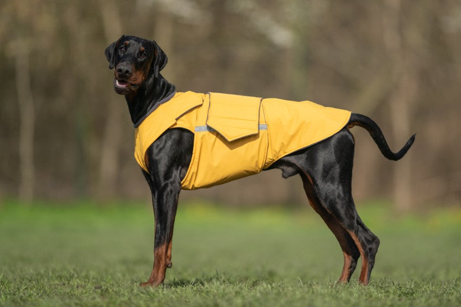 DOBERMAN WINTER COAT - READY-MADE – Pepper Petwear