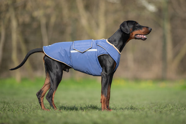 DOBERMAN EXTRA WARM WINTER COAT - READY-MADE
