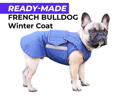 FRENCH BULLDOG WINTER COAT - READY-MADE
