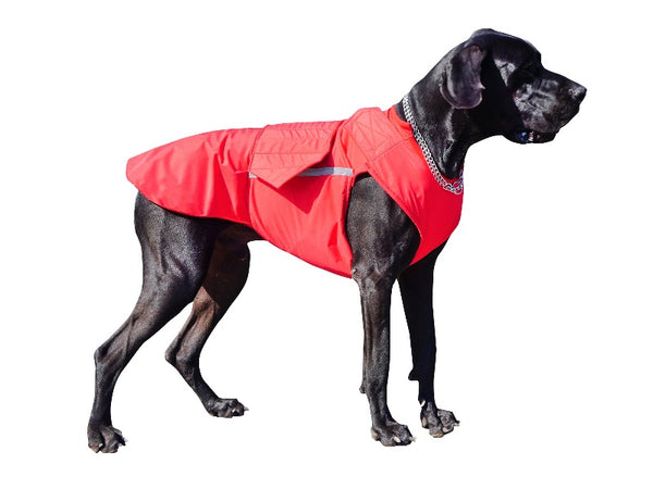 GREAT DANE RAINCOAT - READY-MADE