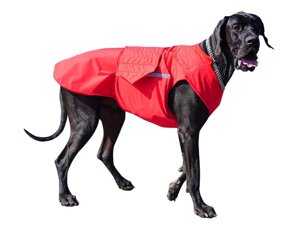 GREAT DANE RAINCOAT - READY-MADE