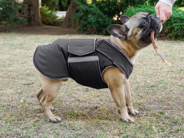 FRENCH BULLDOG EXTRA WARM WINTER COAT - READY-MADE