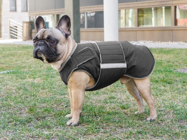 FRENCH BULLDOG EXTRA WARM WINTER COAT - READY-MADE