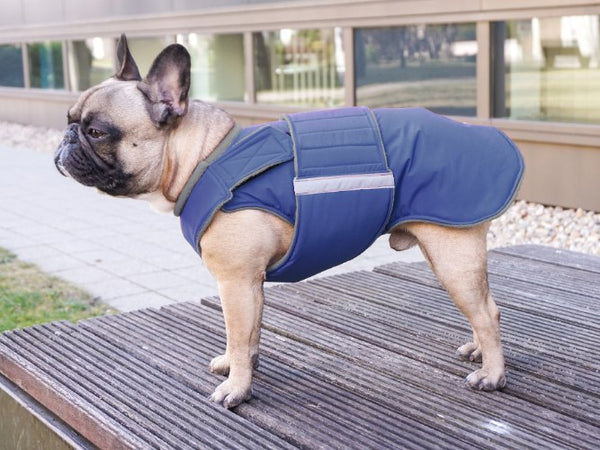 FRENCH BULLDOG EXTRA WARM WINTER COAT - READY-MADE