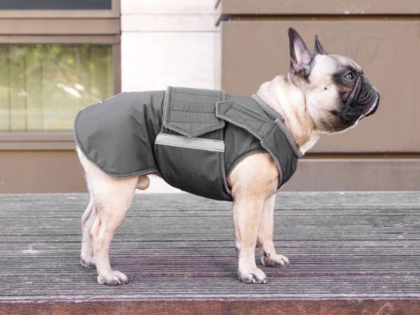 FRENCH BULLDOG RAINCOAT - READY-MADE