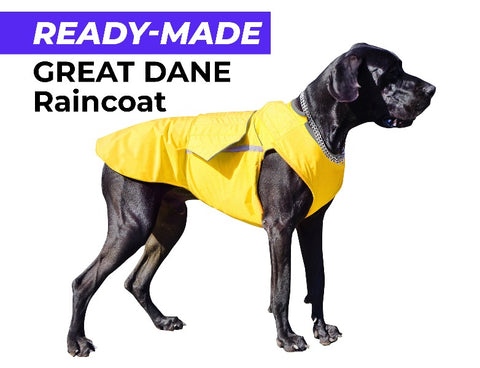 GREAT DANE RAINCOAT - READY-MADE